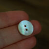 freshwater shell buttons